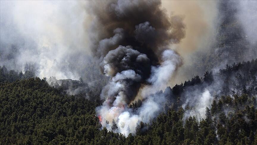 Atina yakınlarındaki orman yangınlarında 80-90 bin dönüm arazi kül oldu