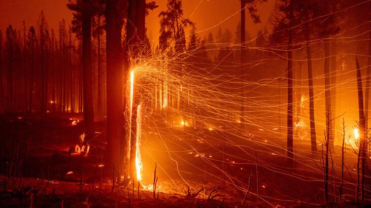 California'da alevler durdurulamıyor! Orman yangınları 50 bin kişiyi karanlığa gömdü